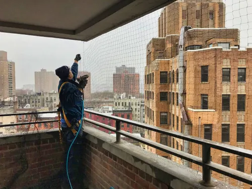 Terrace Bird Netting