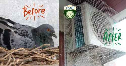 AC Outdoor Unit Netting